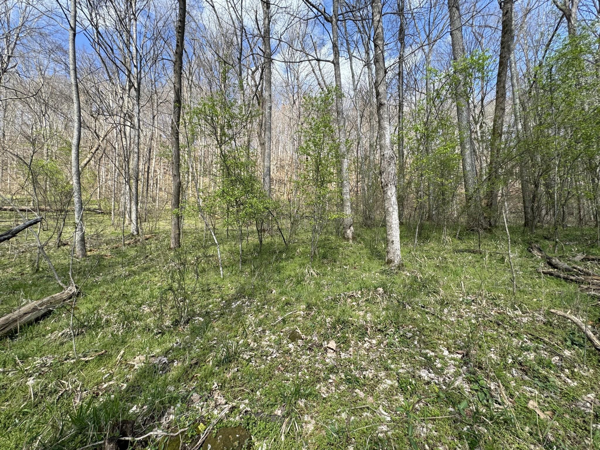 Image 4 Image 4