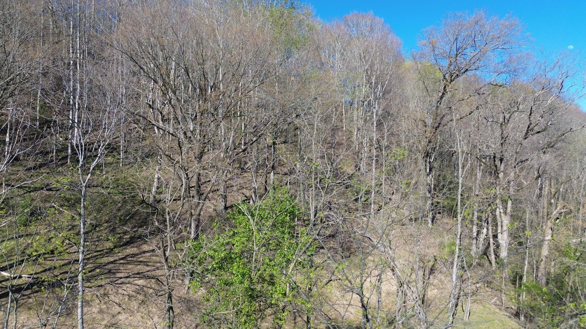 Image 3 Image 3