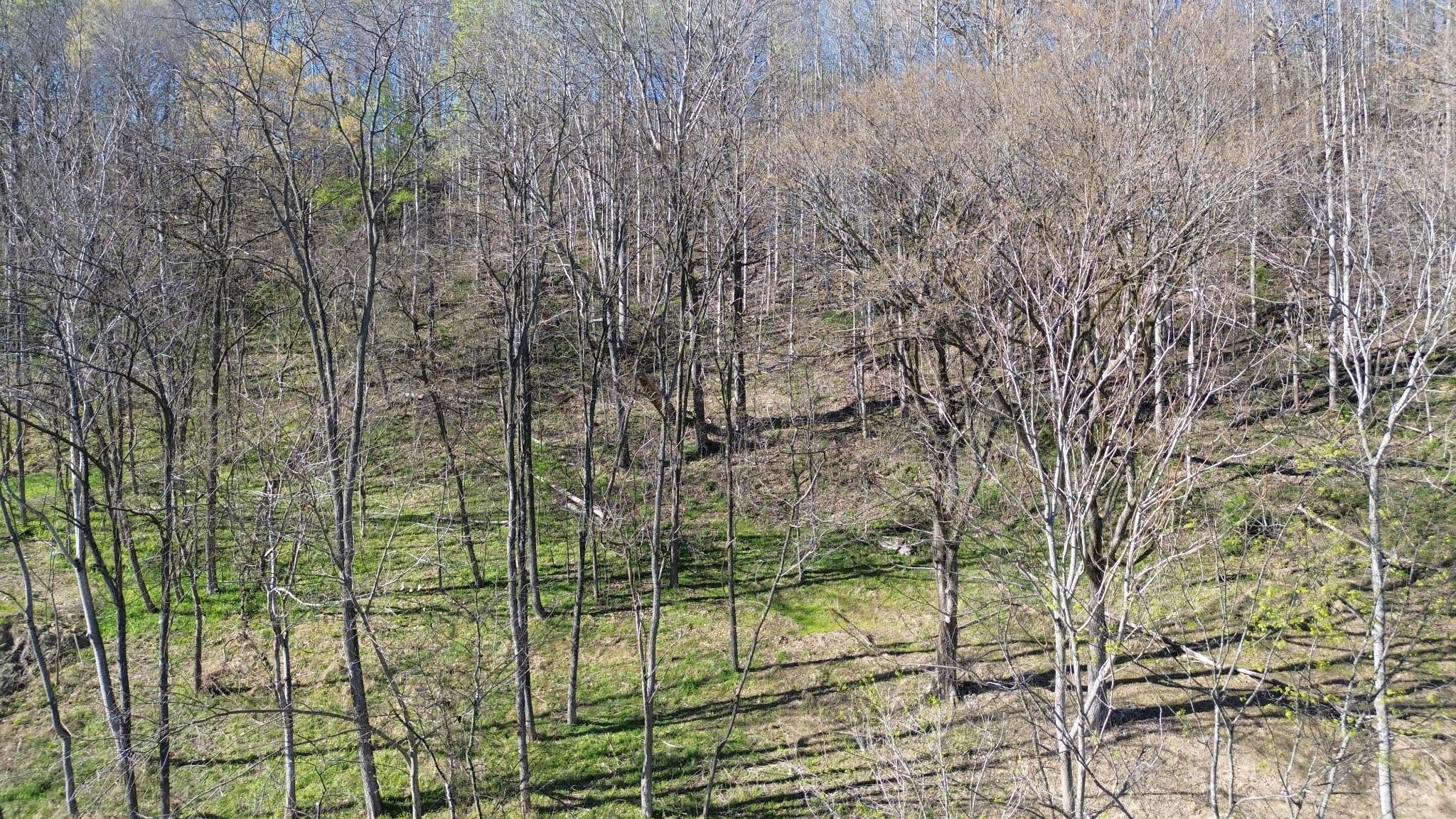 Image 4 Image 4
