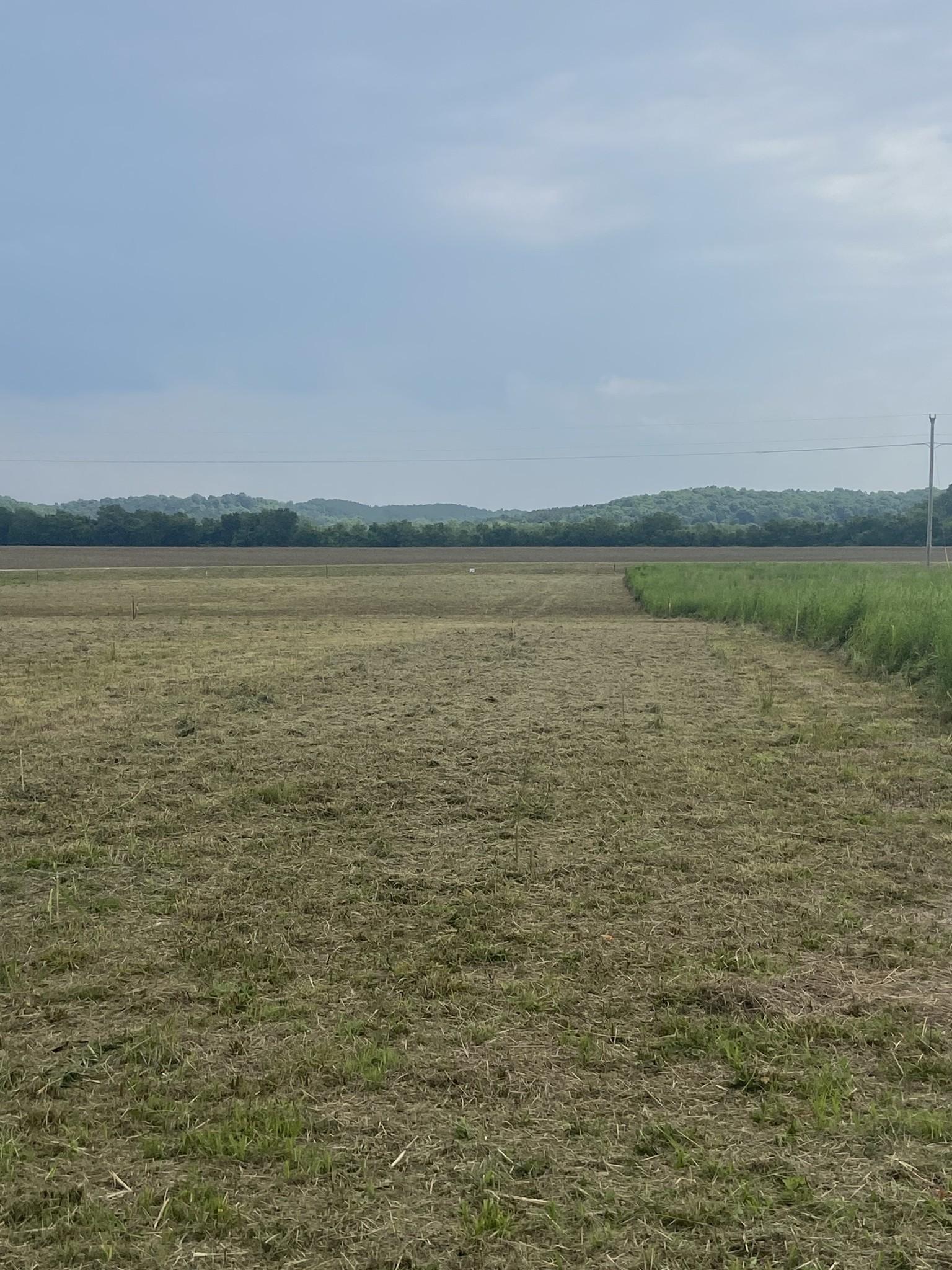 Image 4 Image 4