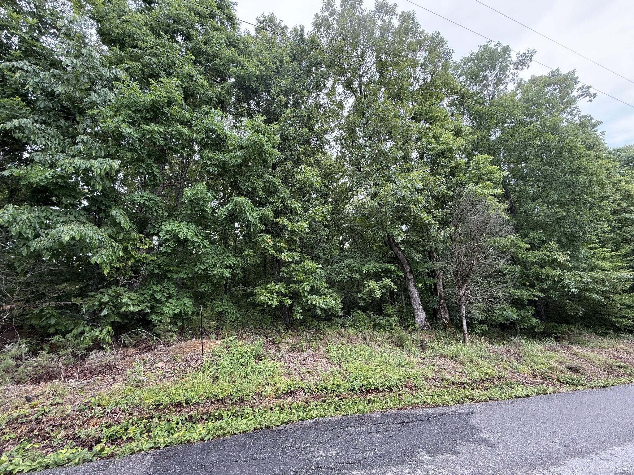 Image 2 Image 2