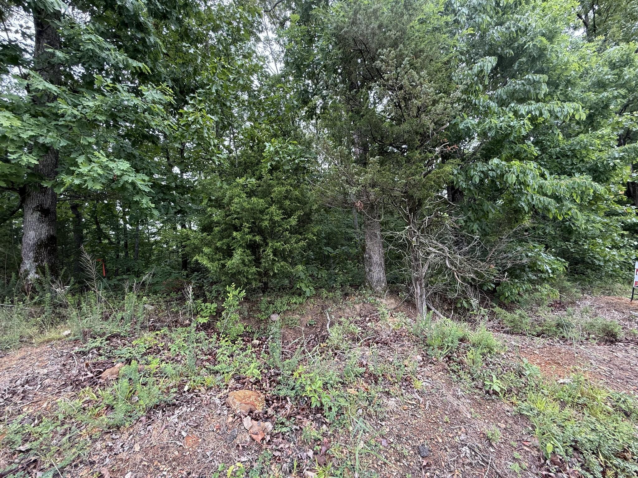 Image 3 Image 3