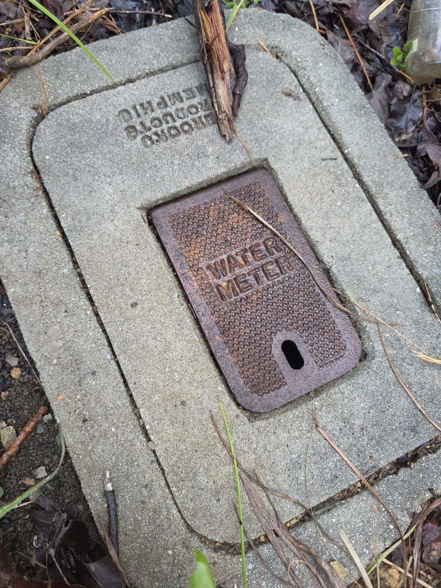 Image 4 Image 4