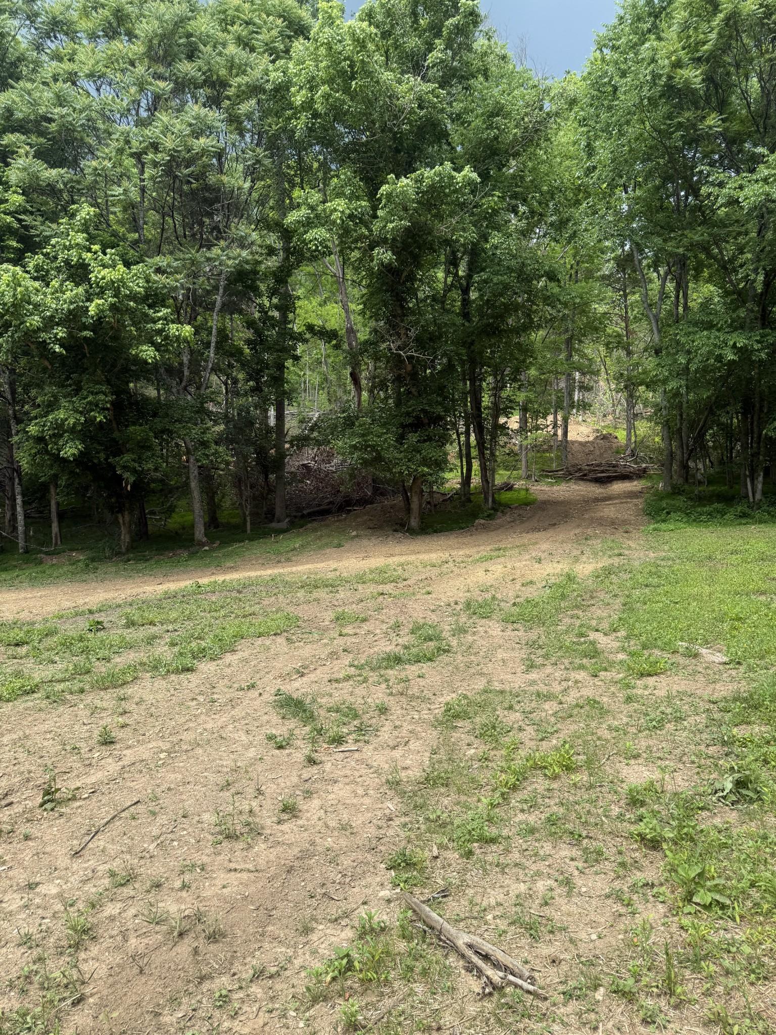 Image 3 Image 3