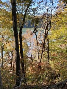 0 Hurricane Creek Road