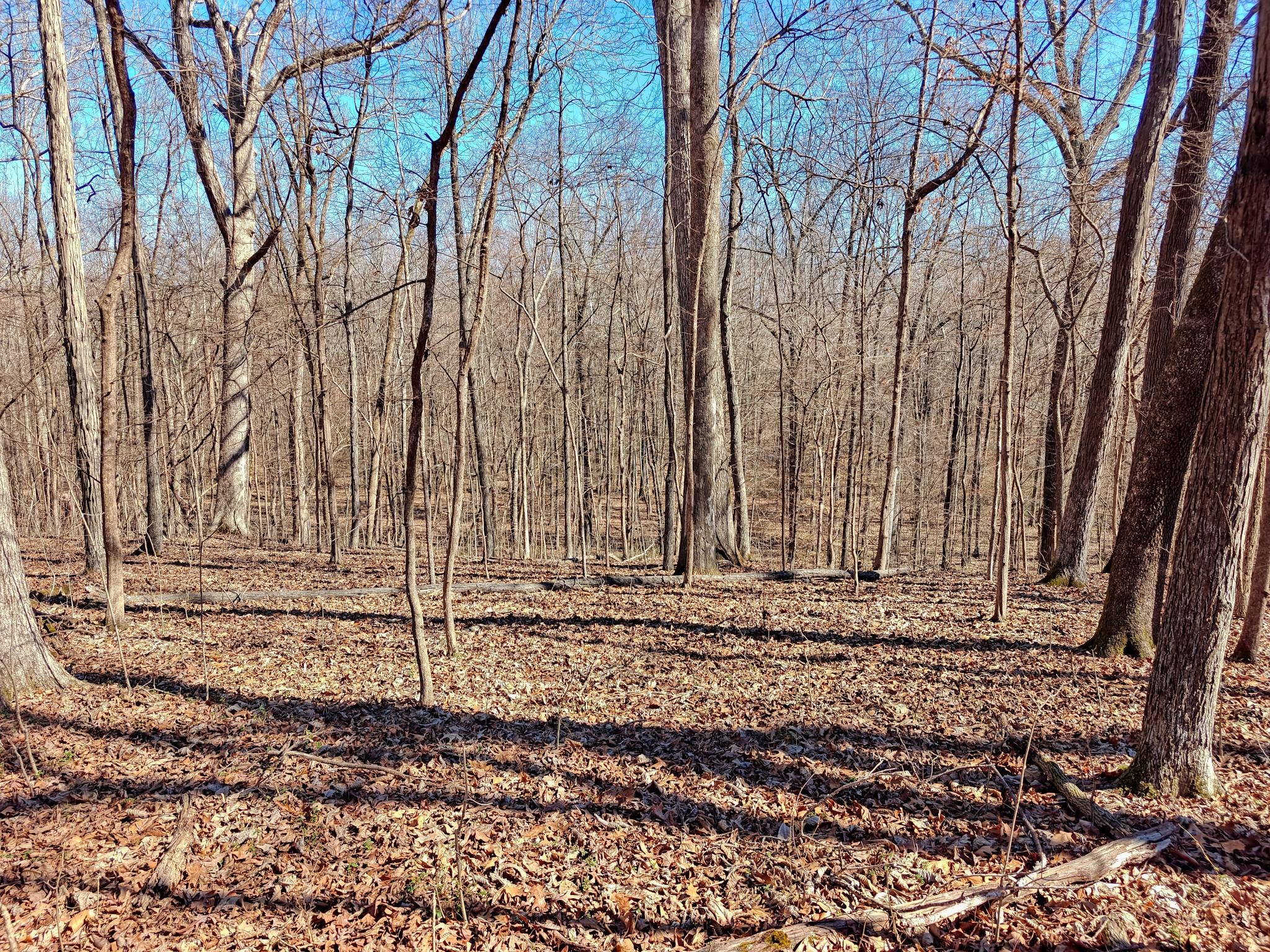 Image 3 Image 3
