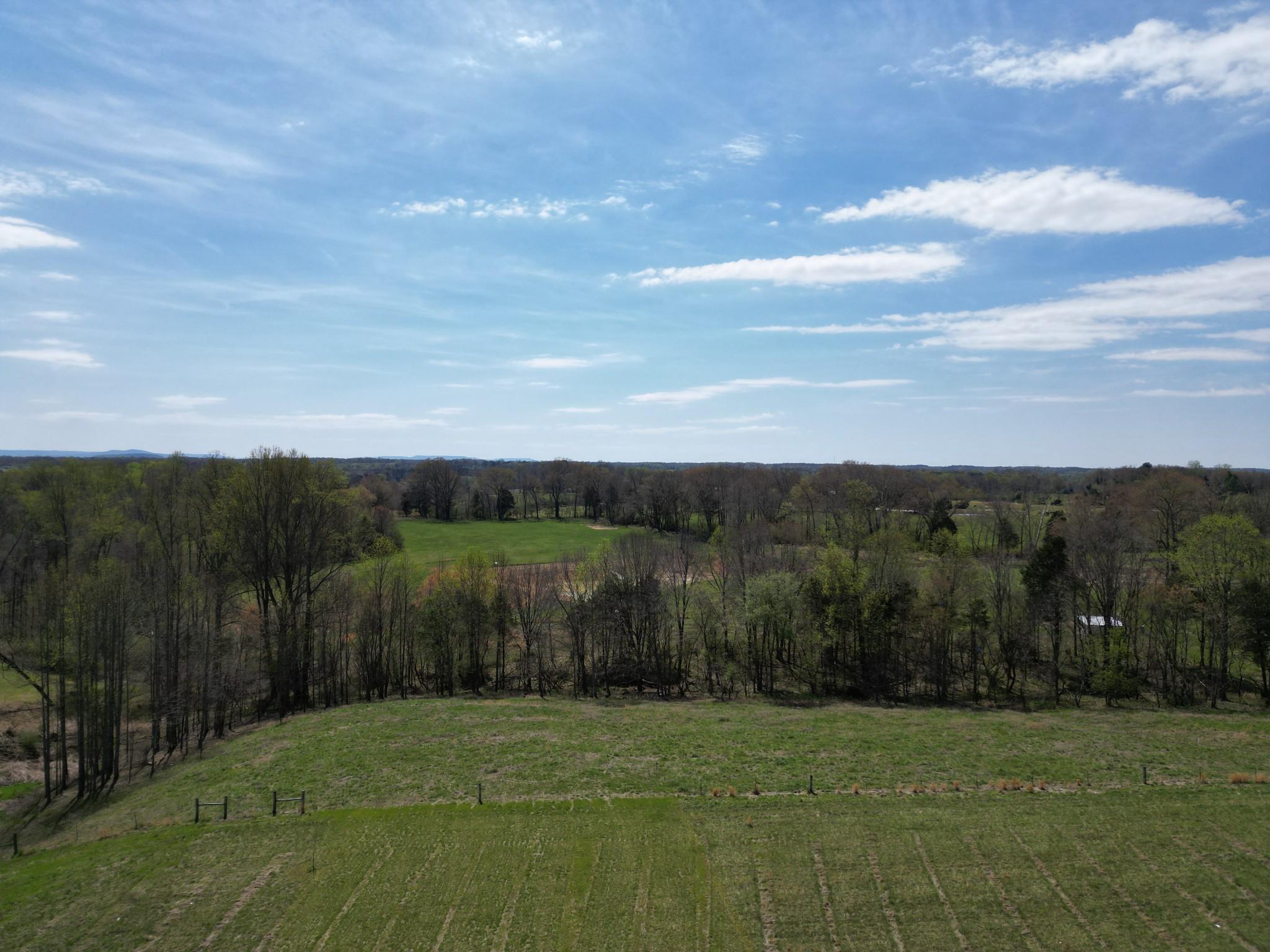 Image 4 Image 4