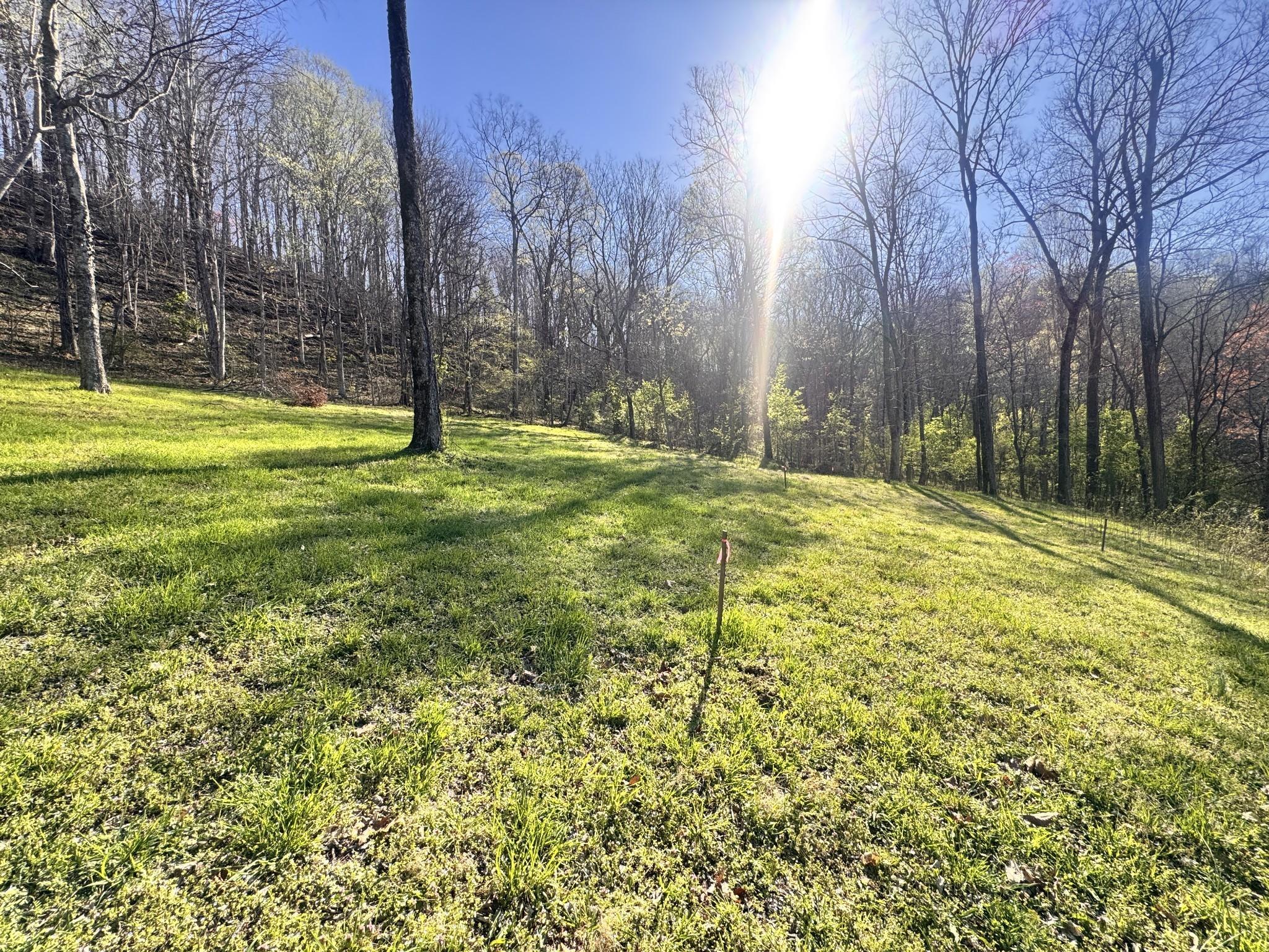 Image 2 Image 2