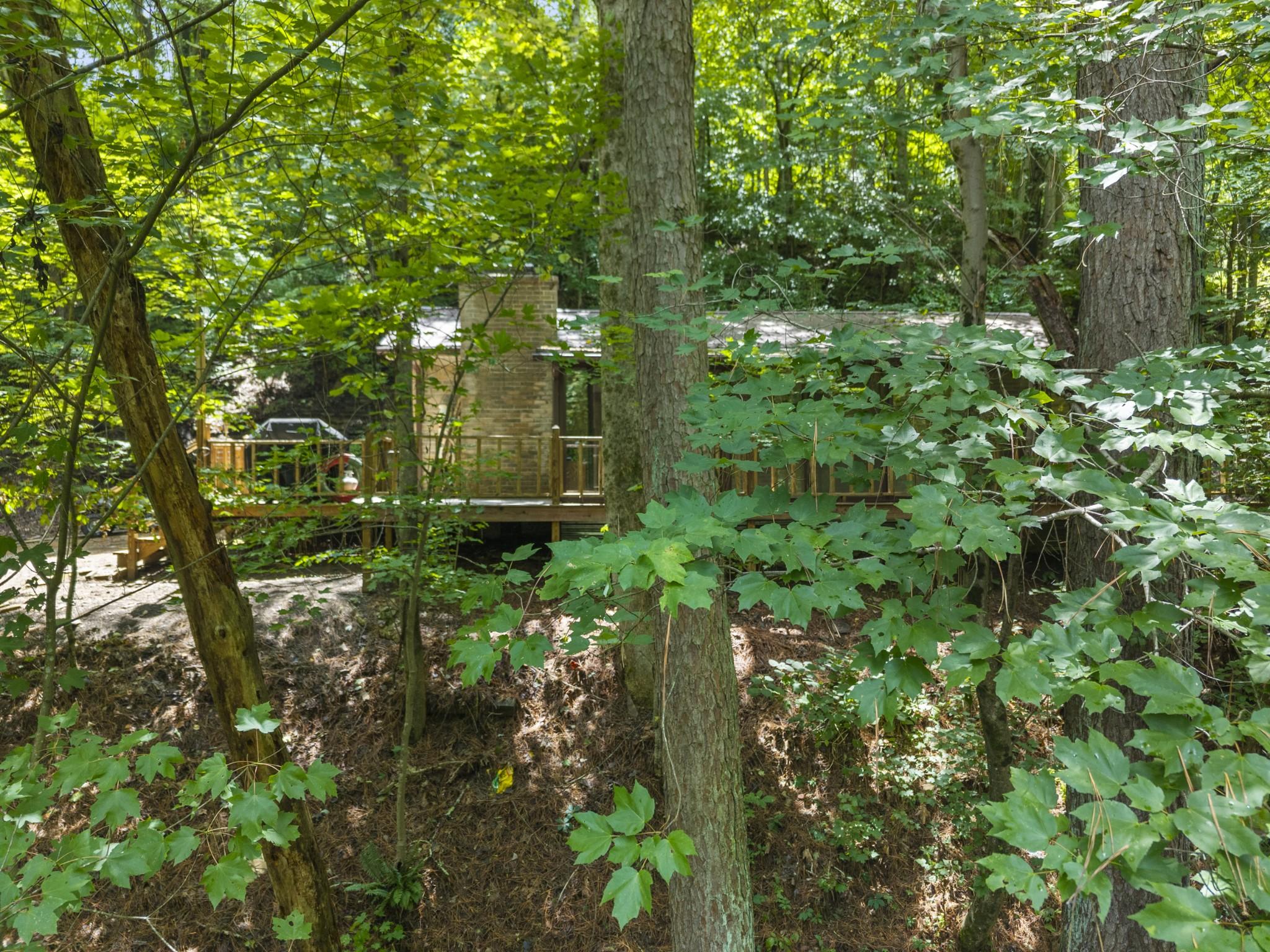 Image 4 Image 4