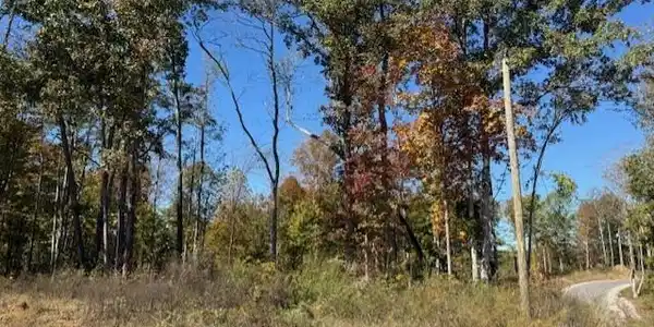 Image 2 Image 2