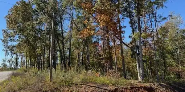 Image 3 Image 3