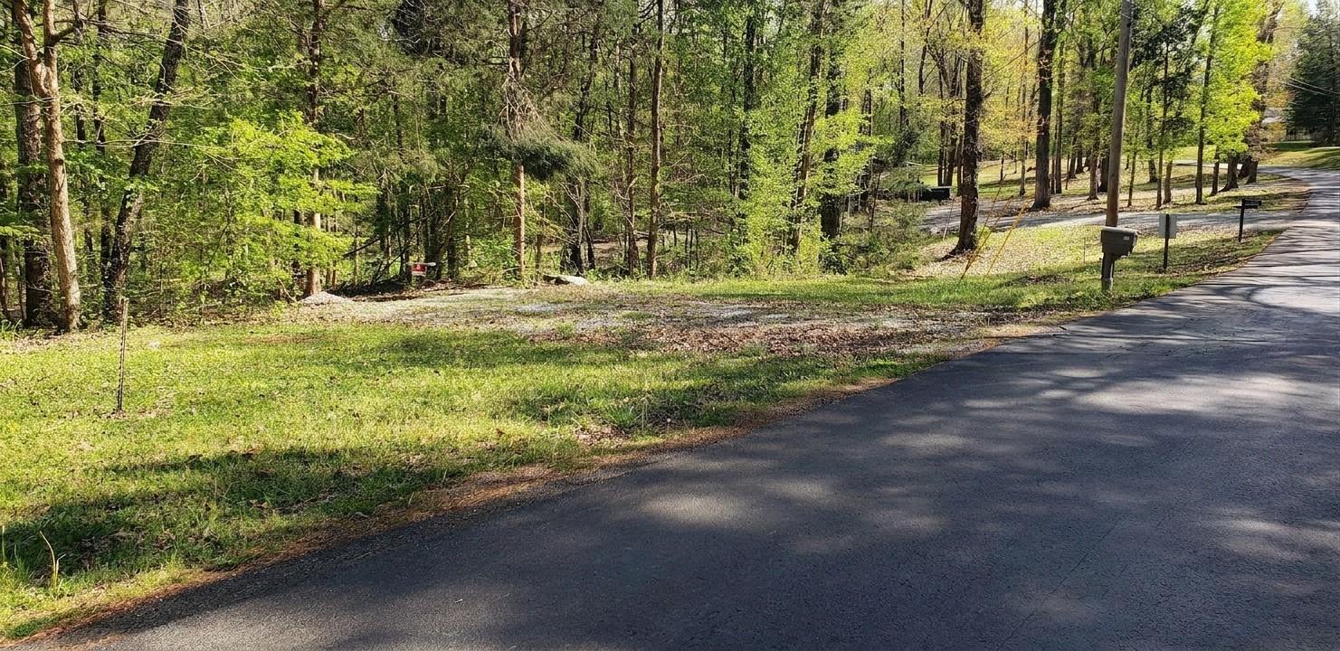 Image 1 Image 1