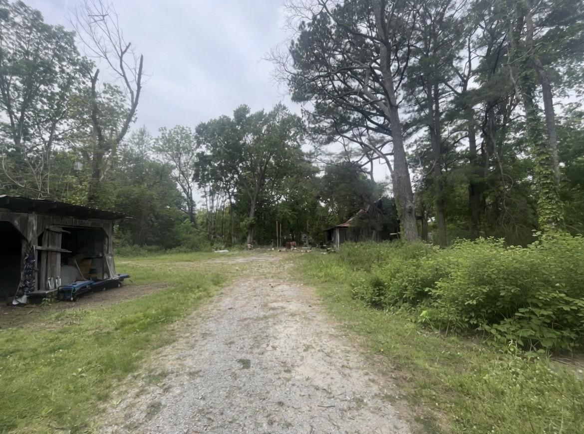 Image 1 Image 1