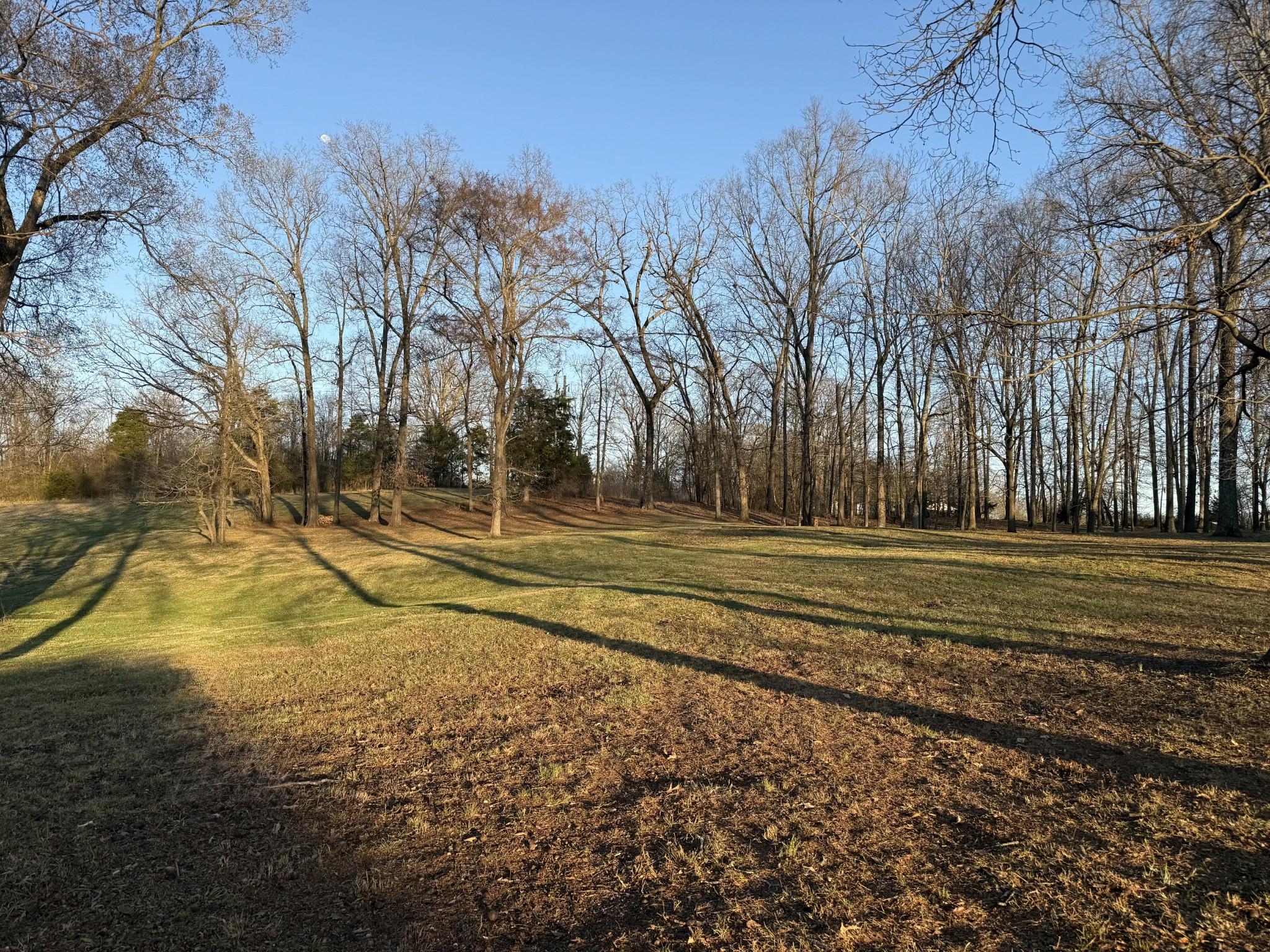 Image 3 Image 3