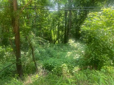 0 Turkey Creek Hwy