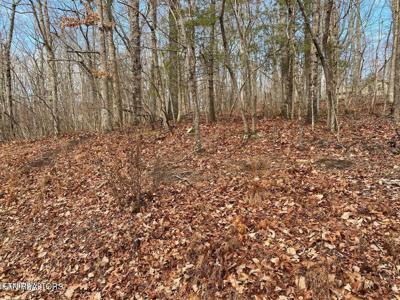 116 Overlook Cove