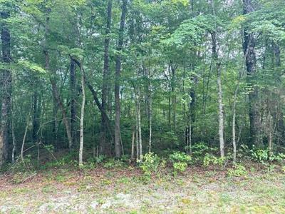 0 Cumberland Lakes Dr