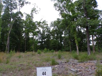44 Overlook Trail