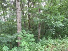 105 .99ac Cedar Creek Rd