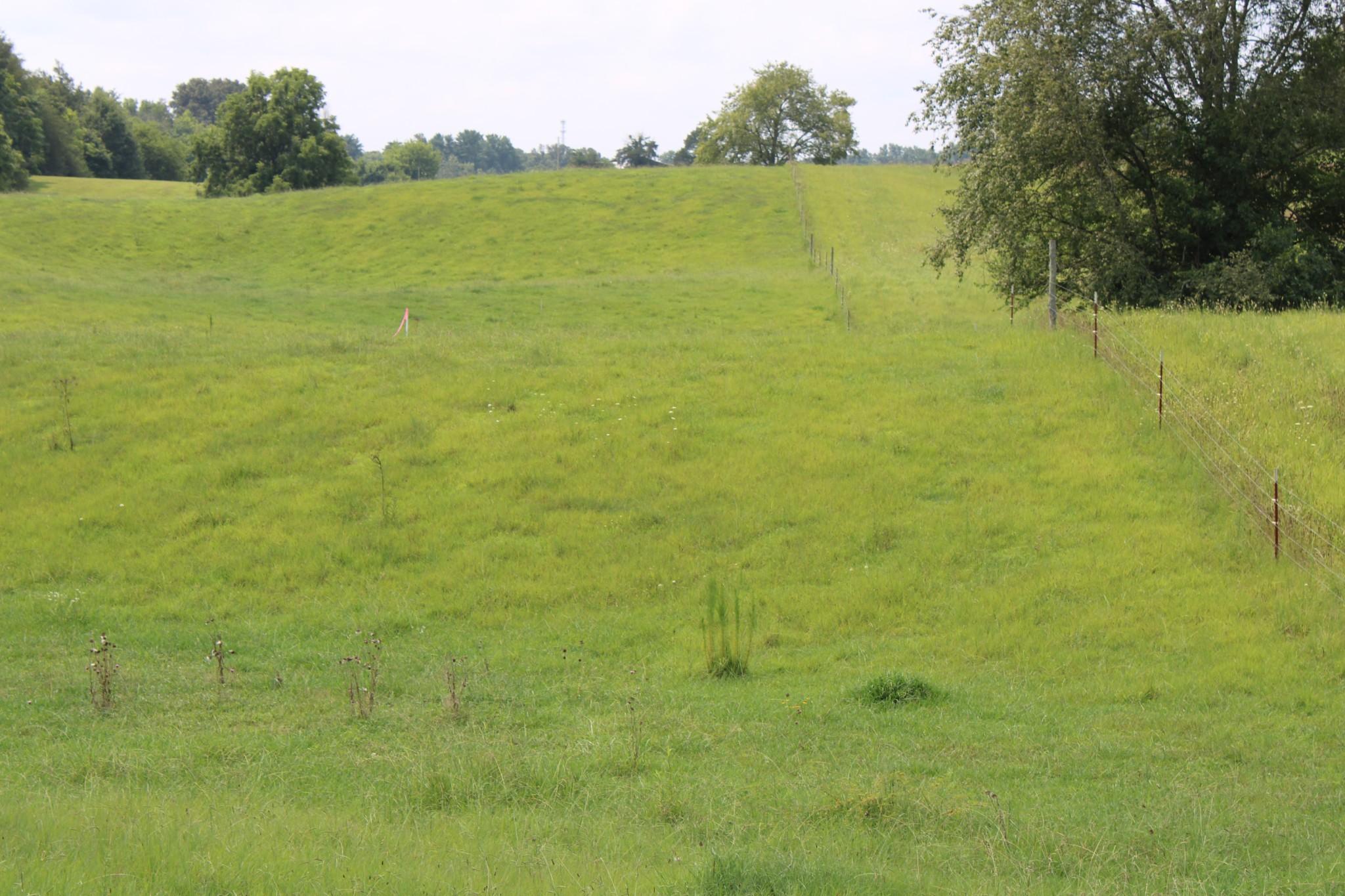 Image 4 Image 4