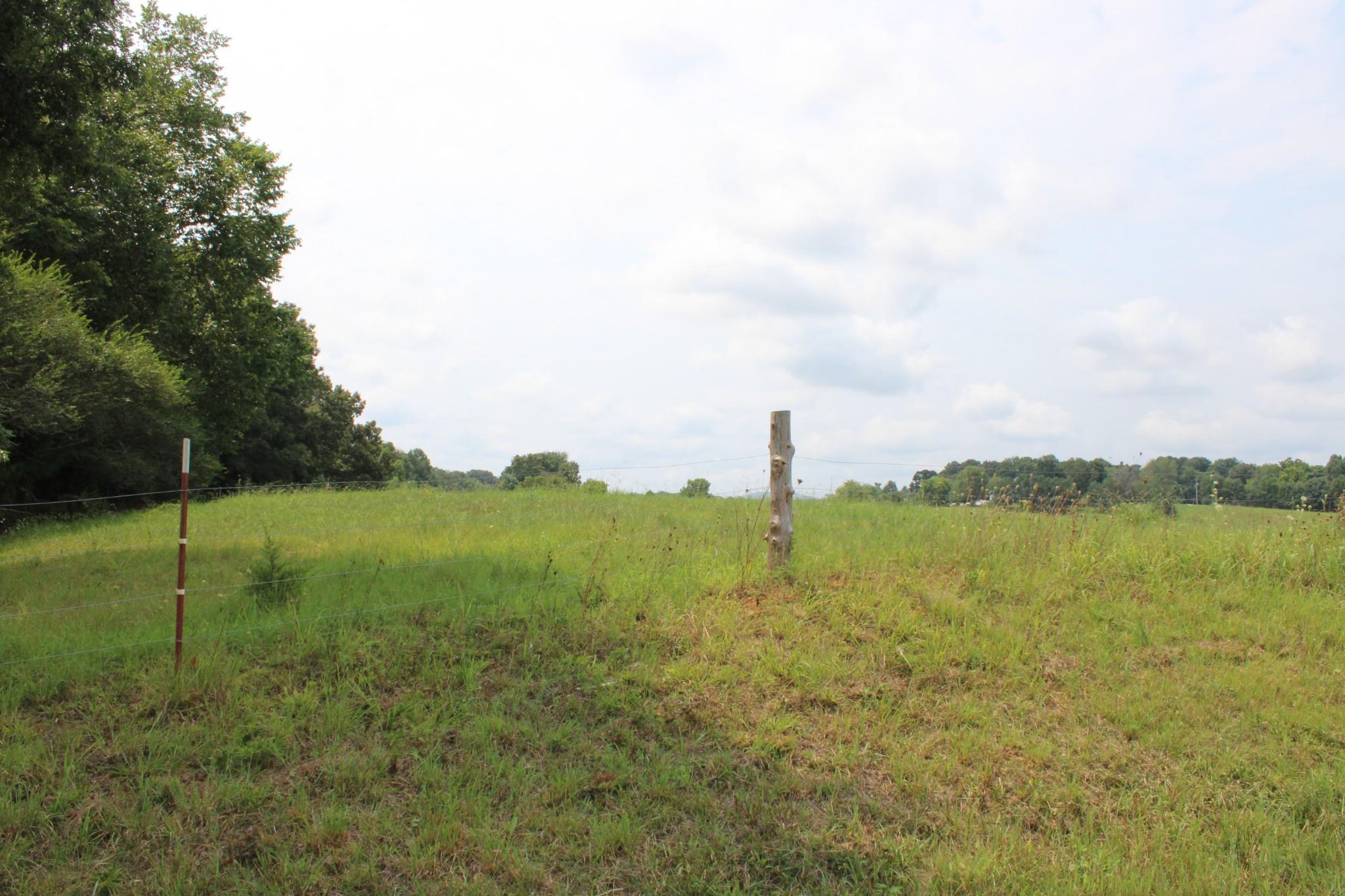 Image 4 Image 4