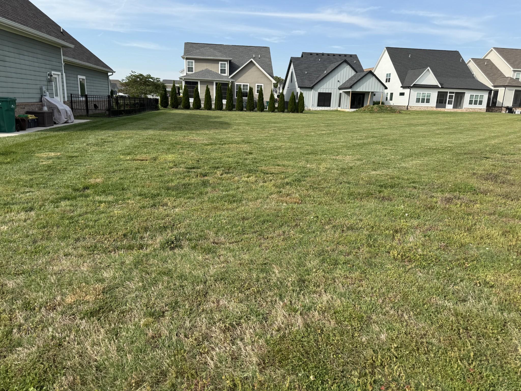 Image 1 Image 1