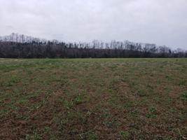1365 Hardin Bottom Riv Rd N
