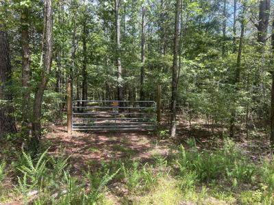220 Raintree Dr