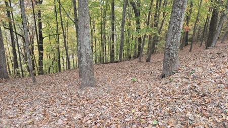 3 Savannah Dr