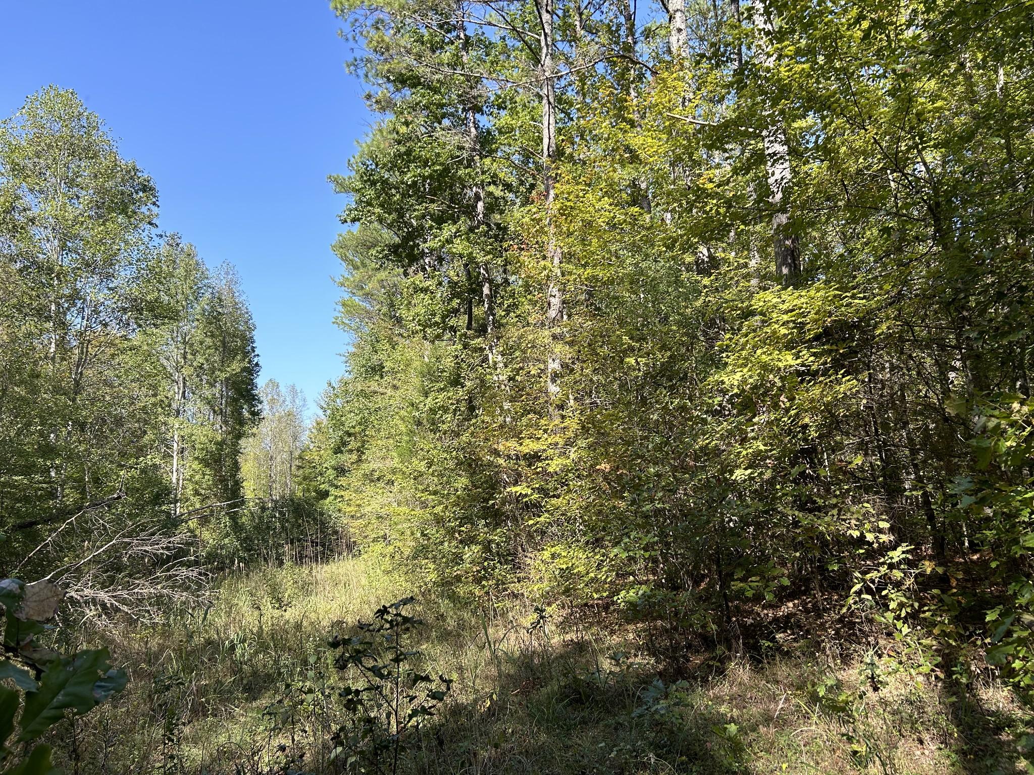Image 3 Image 3