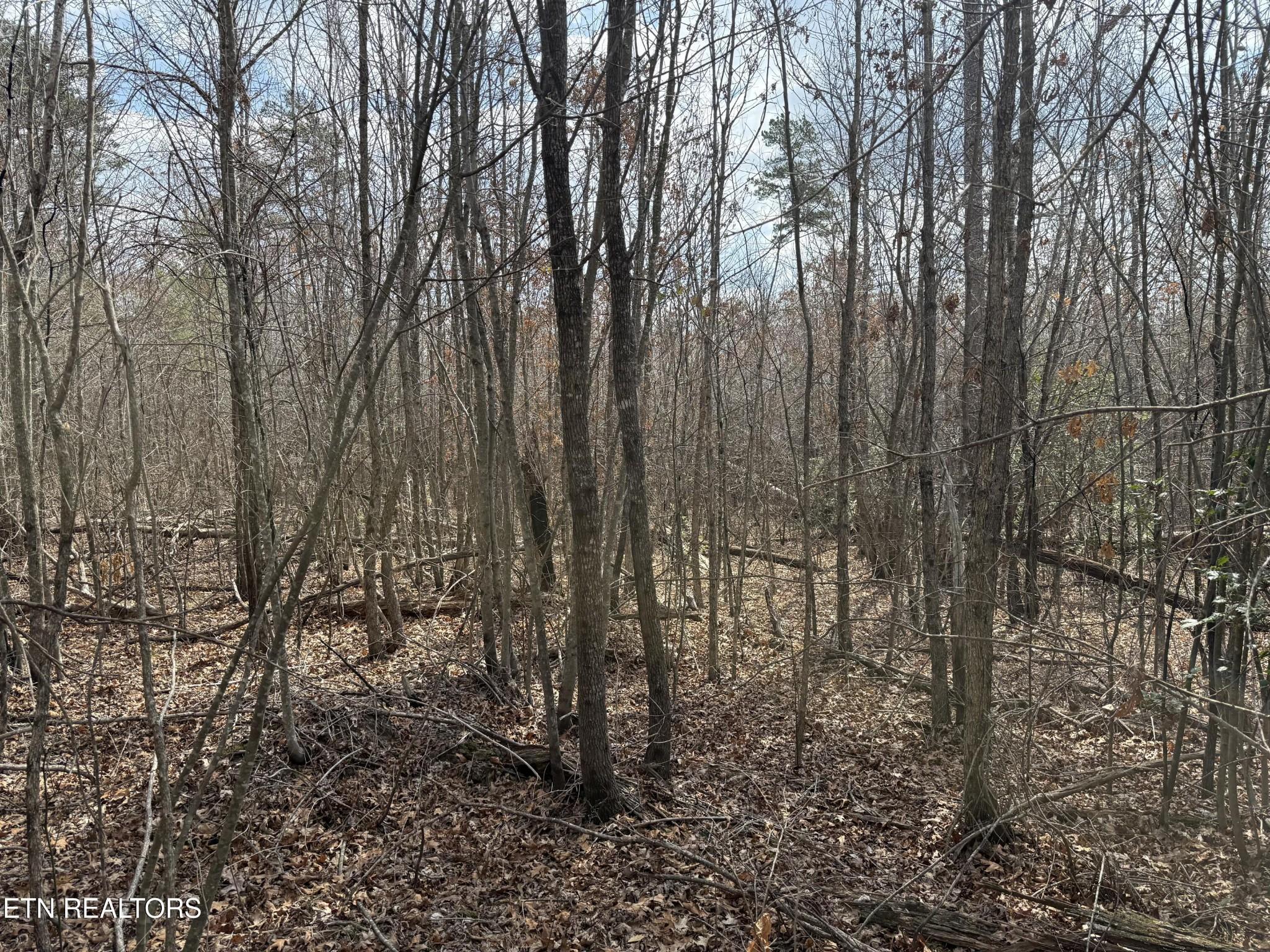 Image 2 Image 2