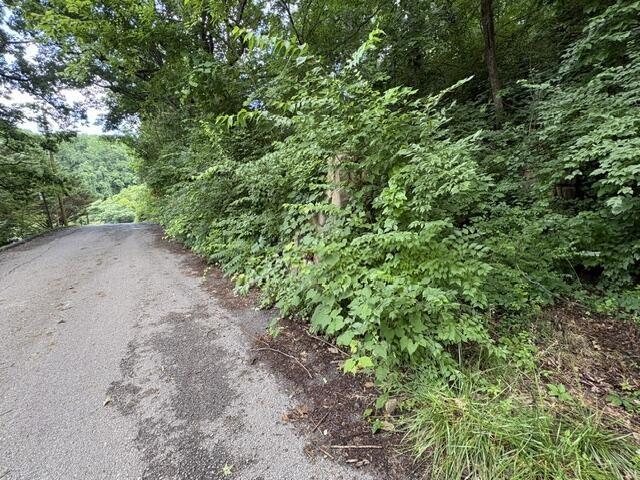 Image 2 Image 2