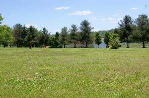 226 Barton Dr