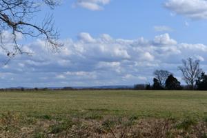 3678 Decherd Estill Rd T-3