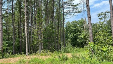 0 Bear Hollow Dr