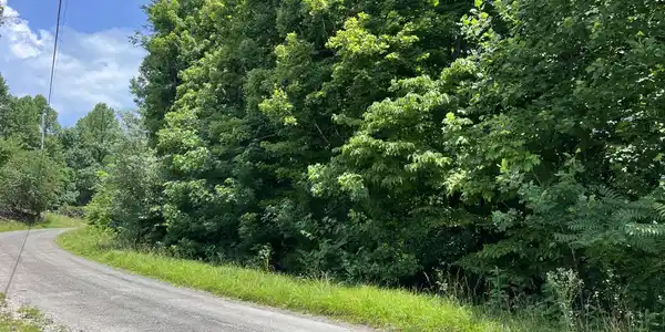 0 Lafever Ridge Rd