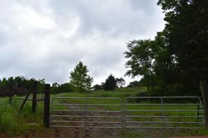 0 Bush Hollow Ln