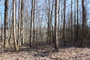 10 Lineport Rd 
