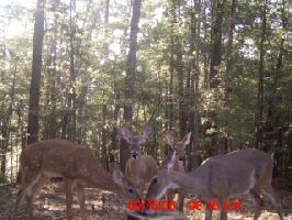 0 Indian Mound Rd