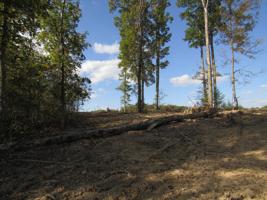 30 .10 Ac. Livingston Hwy