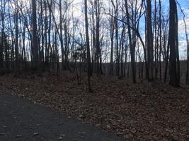 8 Rocky Top Rd