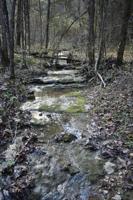 0 Forrester Hollow Ln