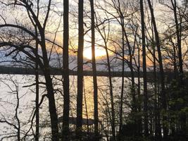 83 Wildwood Ct