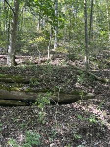 0 NEELEY CREEK RD