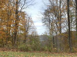 31 Seaton Dr