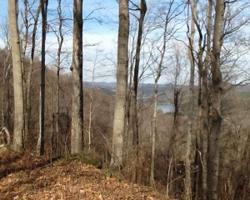 0 Ensor Hollow Rd