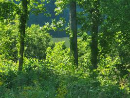 0 W Hutchins Bend Rd W