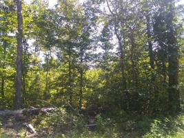 3730 Mousetail Rd.
