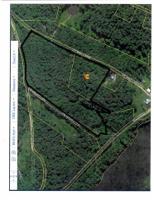 0 Blue Creek Ln 
