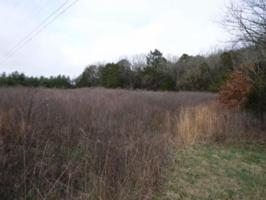 10 Holleman Bend Ln